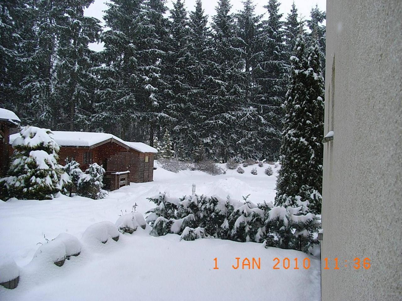 Blechleppel - Die Pension Im Harz Benneckenstein Kültér fotó
